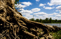 Landscape Gallery